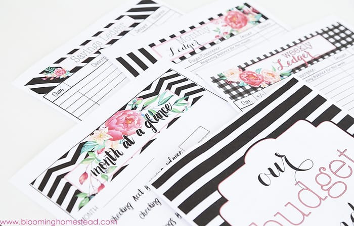 Free Finance Printables - Free Budget Binder by Blooming Homestead