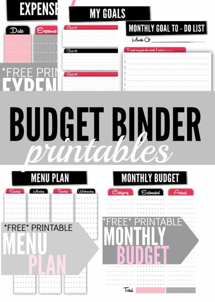 Free Finance Printables - Free Budget Binder by Single Moms Income