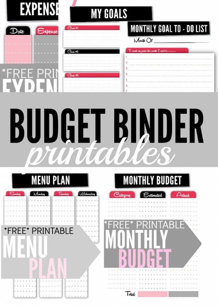 50/30/20 Budget Planner,budget Tracker,budget Ramsey,budget Template, Budget  Book,finance Tracker,budget Planner,budget Binder 